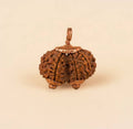 Consecrated Gauri Shankar Rudraksha