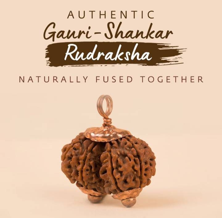 Consecrated Gauri Shankar Rudraksha