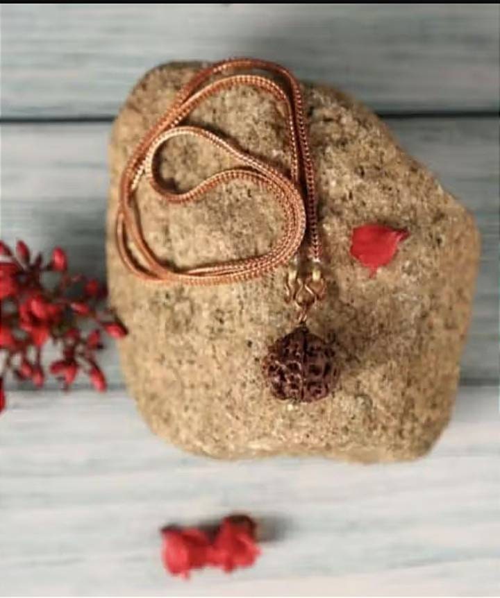 Adiyogi Rudraksha Necklace, Copper Chain, Isha Consecrated