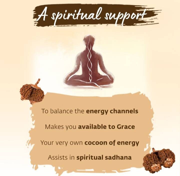 Consecrated Gauri Shankar Rudraksha
