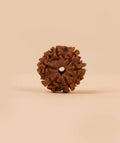 Isha 6 Face Rudraksha Bead, Consecrated Shanmukhi for Children